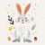 Osterhase 1 - Malen-nach-Zahlen-Set auf Keilrahmen 40x40