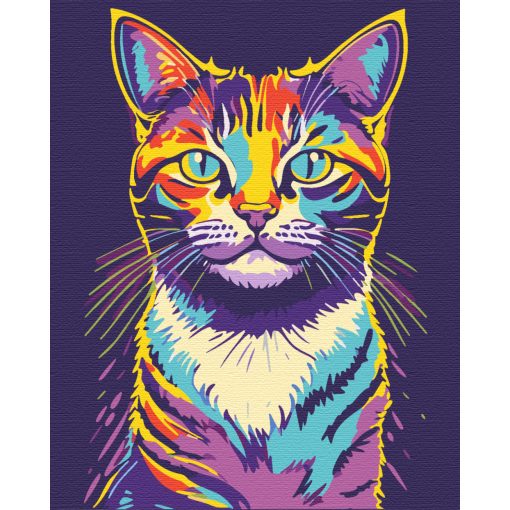 Pop Cat - Malen-nach-Zahlen-Set auf Keilrahmen 40x50