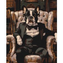 Bulldog Úr - Számfestő készlet kereten 40x50