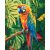   Fliegende Farben - Malen-nach-Zahlen-Set auf Keilrahmen 40x50