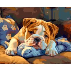 Álmos bulldog - Számfestő készlet kereten 40x50