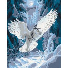 Schnee-Eule bei Nachtflug - Malen-nach-Zahlen-Set auf Keilrahmen 40x50