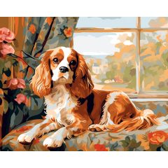 Cavalier király - Számfestő készlet kereten 40x50