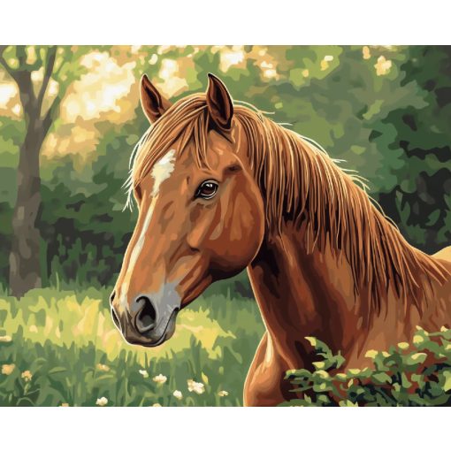 Tavaszi pillantás - Számfestő készlet kereten 40x50