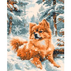 Spitz a hóban - Számfestő készlet kereten 40x50