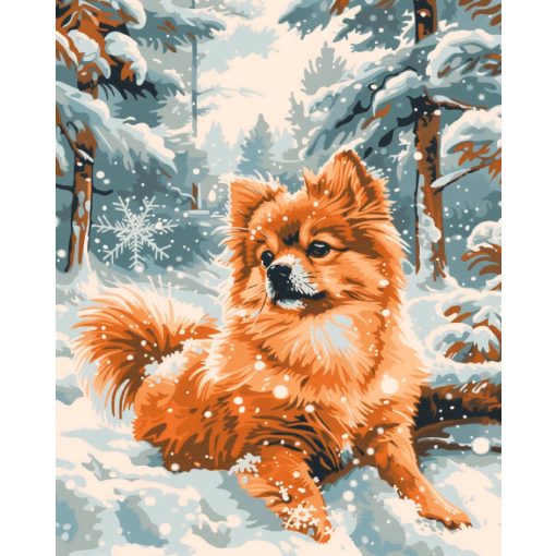 Spitz a hóban - Számfestő készlet kereten 40x50