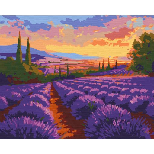 Végtelen levendulamezők - Számfestő készlet kereten 40x50