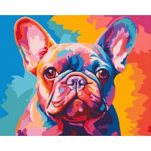 Színes bulldog - Számfestő készlet kereten 40x50