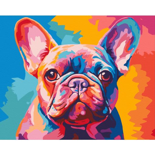 Színes bulldog - Számfestő készlet kereten 40x50