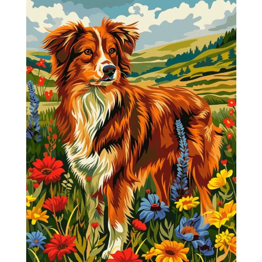 Ausztrál juhászkutya - Számfestő készlet kereten 40x50