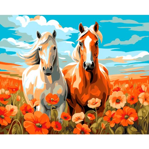 Pipacsos pacikaland - Számfestő készlet kereten 40x50