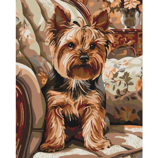 Ülő yorkie - Számfestő készlet kereten 40x50