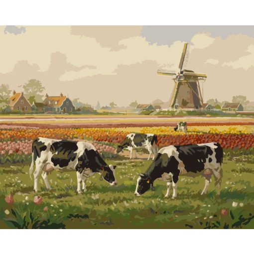 Virágmező nyugalma- Számfestő készlet kereten 40x50