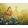 Aranyszárny - Számfestő készlet kereten 40x50