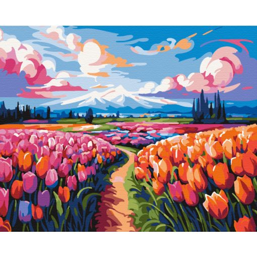 Tulipánok tengere - Számfestő készlet kereten 40x50