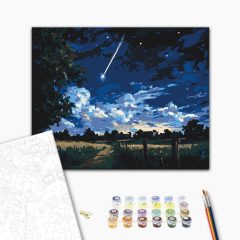   Sternschnuppen-Nacht - Malen-nach-Zahlen-Set auf Keilrahmen 40x50