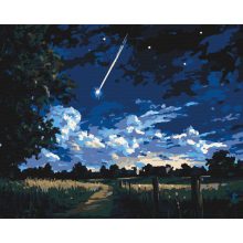 Sternschnuppen-Nacht - Malen-nach-Zahlen-Set auf Keilrahmen 40x50