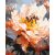   Bienchen auf der Blume - Malen-nach-Zahlen-Set auf Keilrahmen 40x50