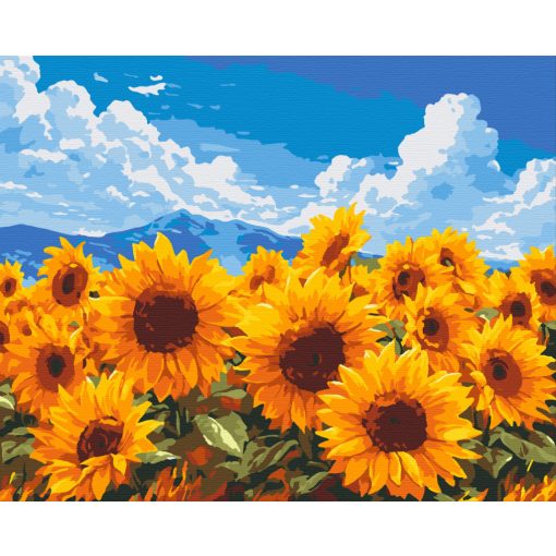 Arany napmező - Számfestő készlet kereten 40x50