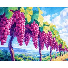 Szőlősor - Számfestő készlet kereten 40x50