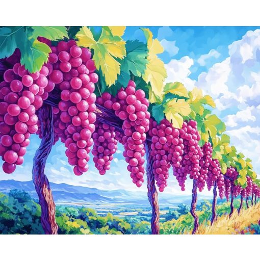 Szőlősor - Számfestő készlet kereten 40x50