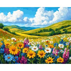 Napsütötte rét - Számfestő készlet kereten 40x50