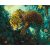   Schleichender Jaguar - Malen-nach-Zahlen-Set auf Keilrahmen 40x50