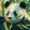 Kíváncsi panda - Számfestő készlet kereten 40x40