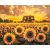   Das Zuhause der Sonnenblumen – Malen nach Zahlen Set auf Rahmen 40x50 cm