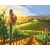   Zwischen den Weinstöcken – Malen nach Zahlen Set auf Rahmen 40x50 cm