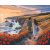   Hand in Hand im Mohnfeld – Malen nach Zahlen Set auf Rahmen 40x50 cm