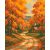 Waldweg – Malen nach Zahlen Set auf Rahmen 40x50 cm
