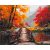   Hinüber in den Herbst – Malen nach Zahlen Set auf Rahmen 40x50 cm