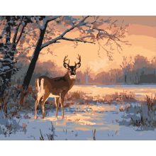 Der Ruf der Natur – Malen nach Zahlen Set auf Rahmen 40x50 cm