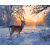 Winterstille – Malen nach Zahlen Set auf Rahmen 40x50 cm