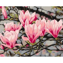 Tanz der Magnolien - Malen-nach-Zahlen-Set auf Keilrahmen 40x50