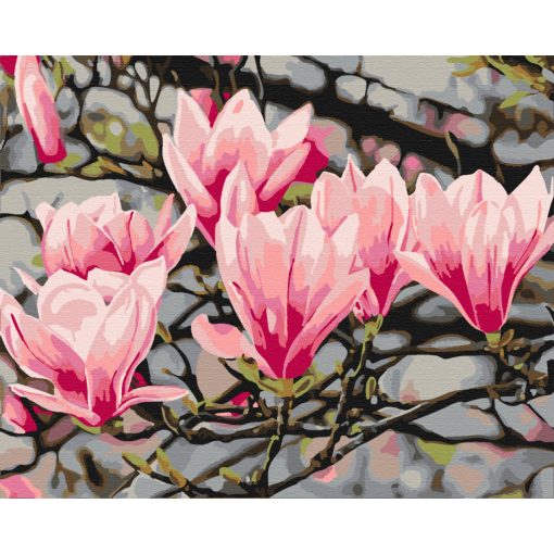 Tanz der Magnolien - Malen-nach-Zahlen-Set auf Keilrahmen 40x50