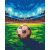   Mitten im Stadion - Malen-nach-Zahlen-Set auf Keilrahmen 40x50