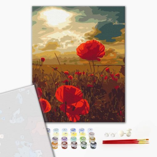 Mohnblumen auf dem Feld - Malen-nach-Zahlen-Set auf Keilrahmen 40x50