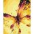   Fliegender Schmetterling - Malen-nach-Zahlen-Set auf Keilrahmen 40x50