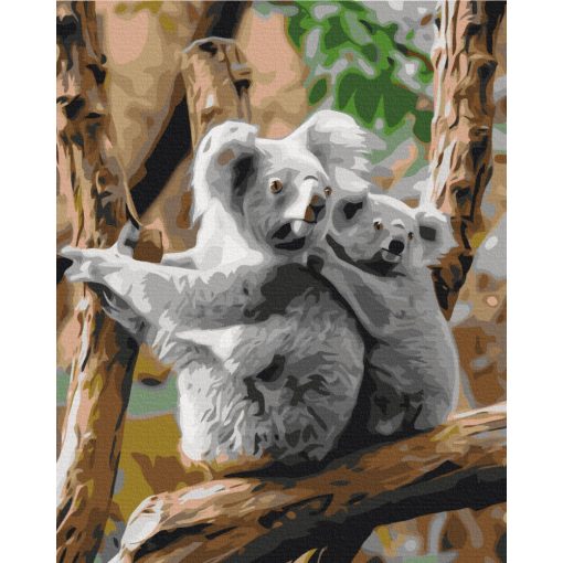 Koala-Familie - Malen-nach-Zahlen-Set auf Keilrahmen 40x50