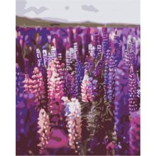 Lavendel - Malen-nach-Zahlen-Set auf Keilrahmen 40x50
