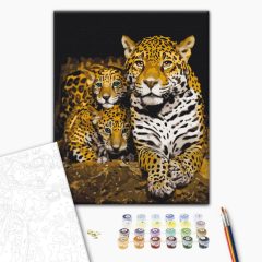   Nächtliche Leoparden - Malen-nach-Zahlen-Set auf Keilrahmen 40x50