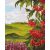   Sommerliche Natur - Malen-nach-Zahlen-Set auf Keilrahmen 40x50
