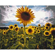 Ausgezeichnete Sonnenblume - Malen-nach-Zahlen-Set auf Keilrahmen 40x50